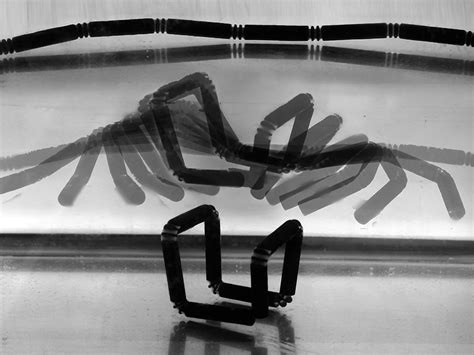 4D Printing – Transmaterial