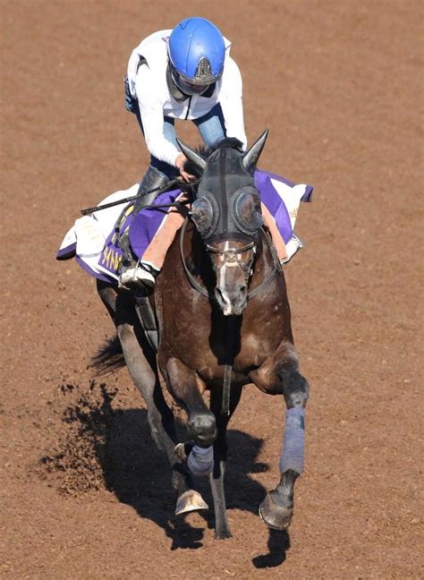 【菊花賞】タイトルホルダー 万全ソフト仕上げ 横山武「雰囲気良かった」競馬・レースデイリースポーツ Online