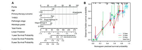 A Nomogram And Calibration Plot To Predict GC Patients 1 3 And