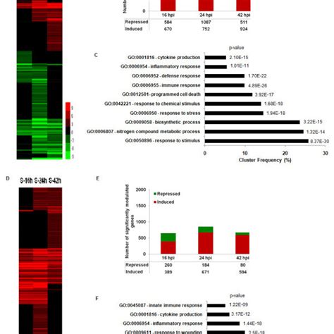 Transcriptional Responses To Acute B Pseudomallei Infection