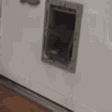 Fat Cat Door GIF - Fat Cat Fat Cat - Discover & Share GIFs