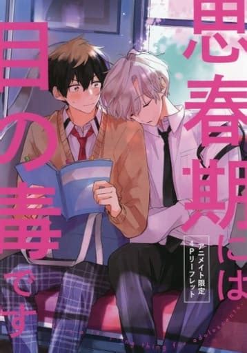 駿河屋 思春期には目の毒です アニメイト限定4pリーフレット 特典（漫画・アニメ）