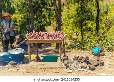 507 Madagascar Street Food Images, Stock Photos, 3D objects, & Vectors