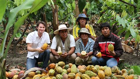 Comunidad Cacao Sostenible Chocolat Paccari Tienda Online