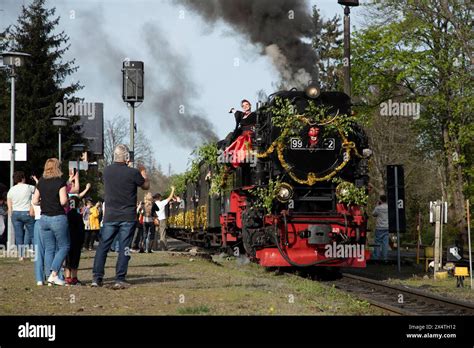 Harzer Schmalspurbahn Eine festlich geschmückte Dampflok der Harzer