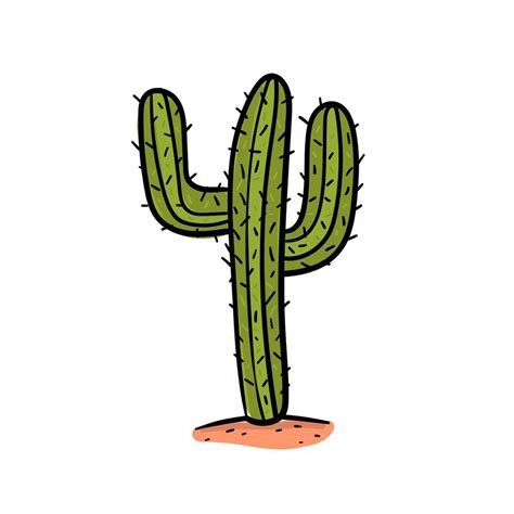 Hand Drawing Cactus In Desert Vector Vector Art At Vecteezy