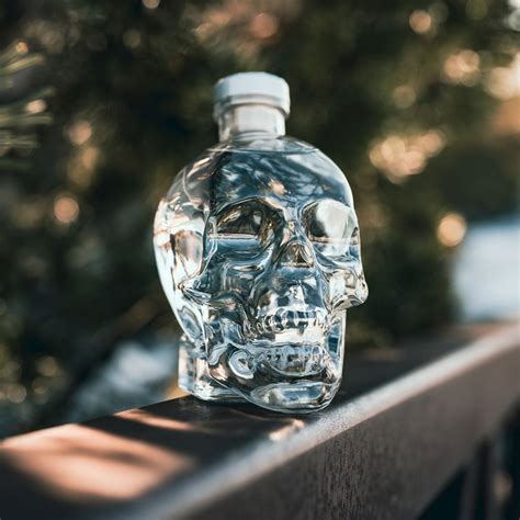 10 Best Vodka Brands Must Read This Before Buying