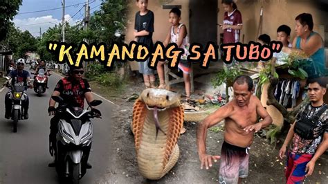 COBRA SA TUBO MUNTIK MAHAWAKAN Tolcobra Cobraking Cobraprince