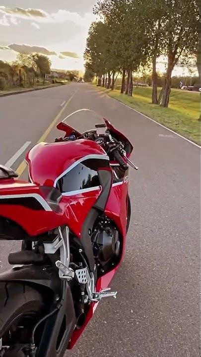 Cbr 600rr Sc Project Shorts Youtube