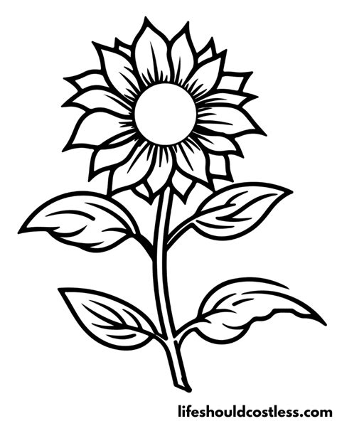 Sunflower Coloring Pages Free Printable Pdf Templates Life Should