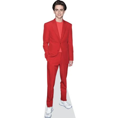 Timothee Chalamet Cardboard Cutout