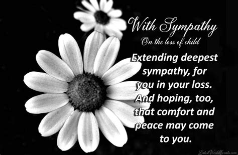 Sympathy Quotes For Loss Of Son And Words Of Comfort For Loss Of Child