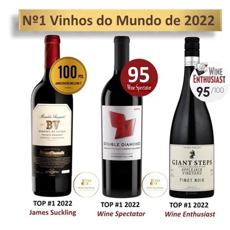 Os melhores vinhos do mundo Top 5 imperdível O Contador de Cervejas