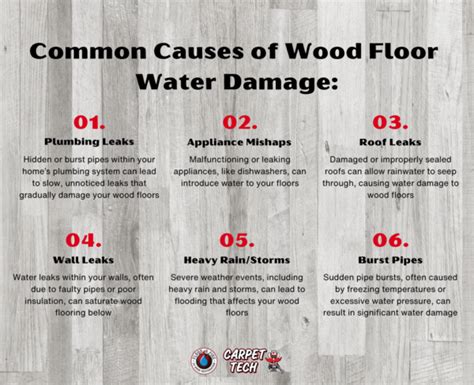 Understanding And Managing Wood Floor Water Damage Expert Insights