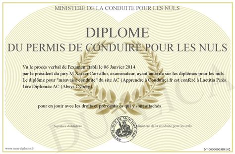 Diplome Du Permis De Conduire Pour Les Nuls