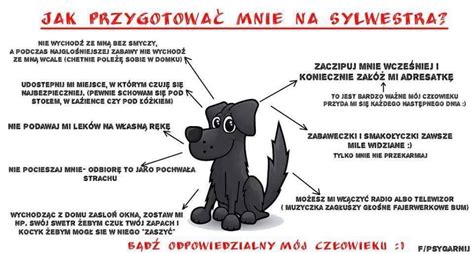 Jak Chroni Zwierz Ta W Sylwestra Szkolne Blogi