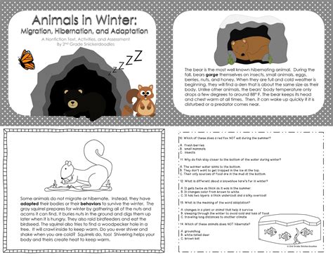 Animal Hibernation Worksheets Animal Hibernation Worksheets