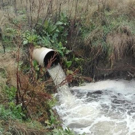 Regeneraci N Reutilizaci N Y Reciclaje De Aguas Residuales Cual Es La