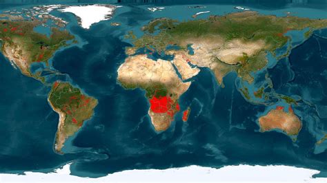 Waldbrände Wo auf der Welt gerade Feuer lodern Nachrichten WDR