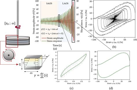 Oscillatory Rheometry Setup And Raw Data Handling A Amplitude Sweep