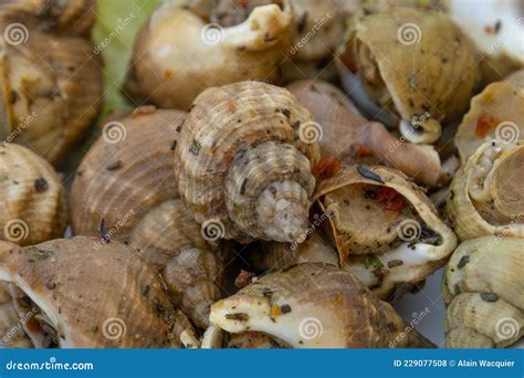 Plate Of Cooked Whelks On A Table Stock Photo Image Of Salad Whelk