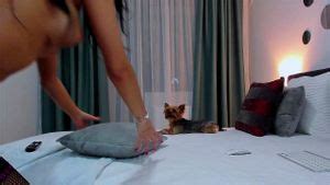 Mira Wills Cowgirl Xhamster Babe Hot Porn SpankBang