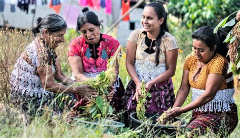 Desarrollo Económico Rural Territorial Guatemala Helvetas