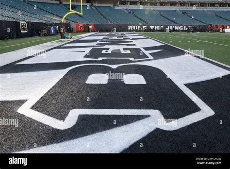 A General View Of The Cincinnati Bengals End Zone Painted White Before