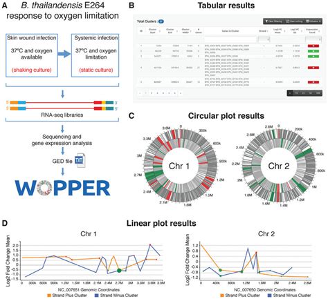 Schematic Representation Of Wopper Analysis Of Rna Seq Gene Expression Download Scientific