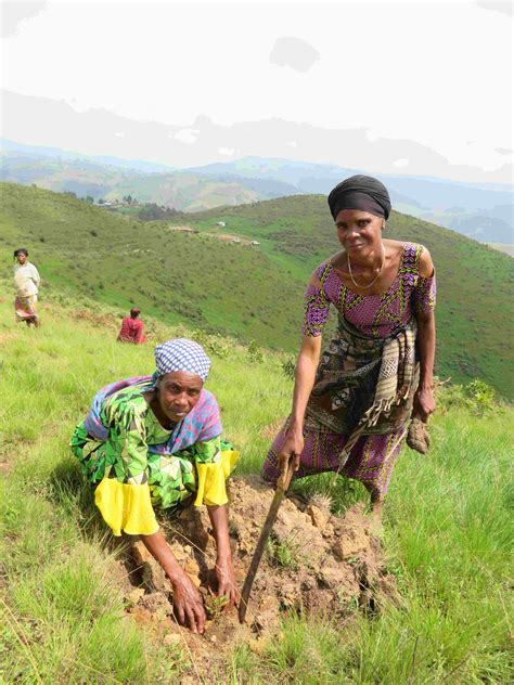 The Restoration Initiative A Democratic Republic Of The Congo Story