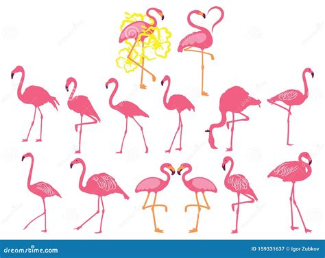 Conjunto De Flamingos Cor De Rosa Cole O De Flamingos Cartoons