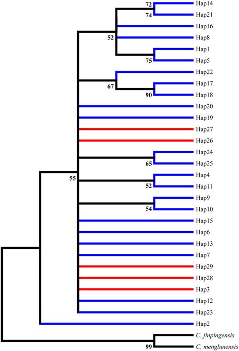 Phylogenetic Tree Inferred Via The Ml And Nj Methods Based On Its2