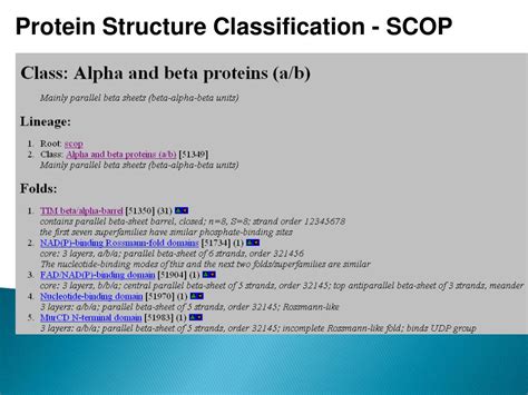 Ppt Protein Structure Classification Prediction And Proteomics