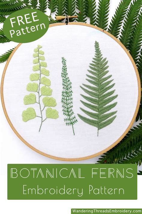 Free Embroidery Pattern Botanical Ferns Wandering Threads Embroidery