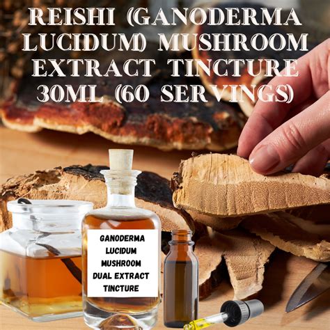 Reishi Ganoderma Lucidum Mushroom Extract Tincture Promotes Relaxat