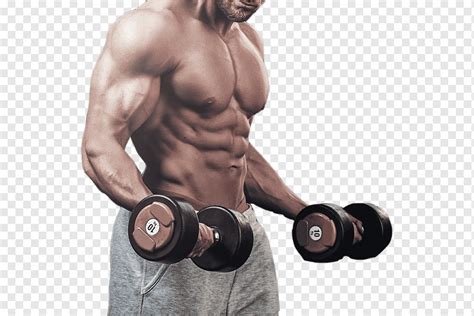 Man Holding Two Black And Brown Barbells Bodybuilding Fitness Centre