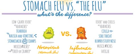 Differences Between Flu And Stomach Flu What Do I Have