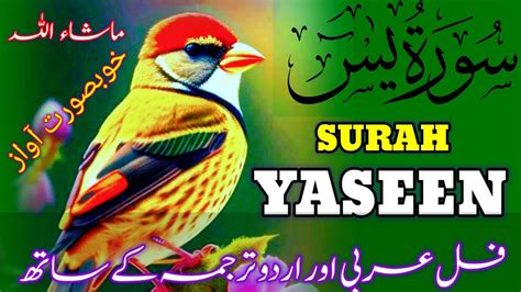 Surah Yasin Yaseen Ful Surah Yaseen With Urdu Tarjuma Ful