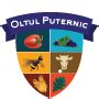 GAL Oltul Puternic