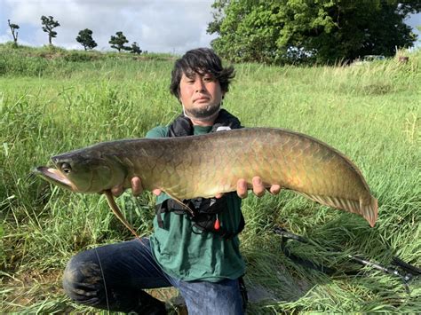 平坂寛 釣って 食べて 調べる 深海魚 たくさんのふしぎ7月号発売中 On Twitter 描写したりない部分がかなり多い記事反省