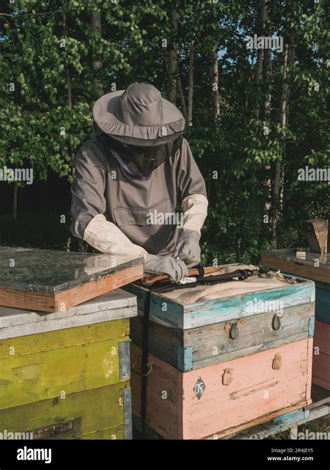 Beekeeper Removing Honeycomb From Beehive Person In Beekeeper Suit