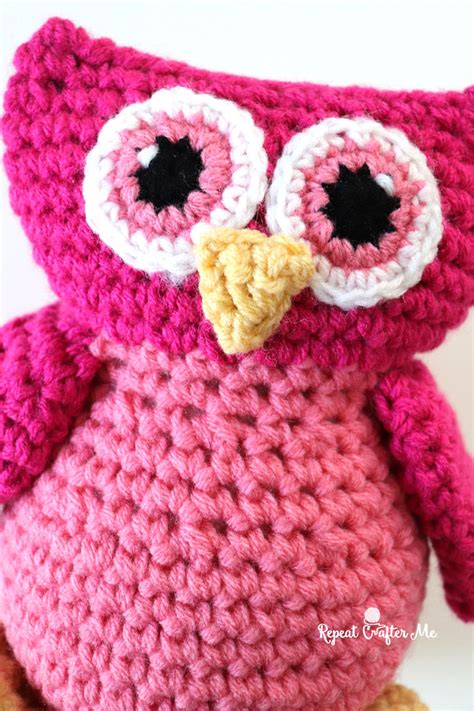 Ollie The Owl With Crochet Cartoon Eyes And Red Heart Super Saver Yarn