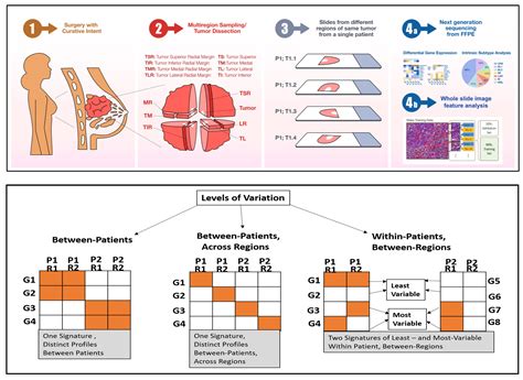 IJMS Free Full Text A Case Series Exploration Of Multi Regional