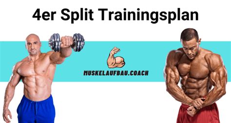 Er Split Trainingsplan Muskelaufbau Coach