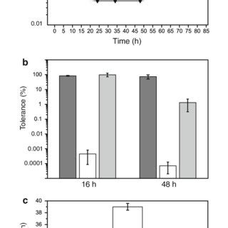 Performance of Pseudomonas putida KT2440 and its PHA negative mutant ...