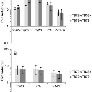 Streptonigrin Sensitivity Of The M Tuberculosis Esx Conditional