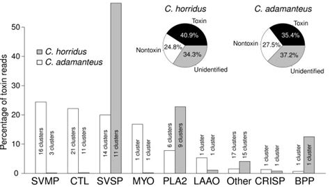 The venom compositions of Crotalus adamanteus and C. horridus ...