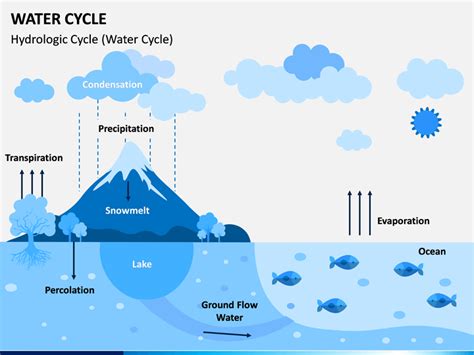 Water Cycle Template