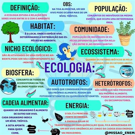 Ecologia Mapa Mental Themelower