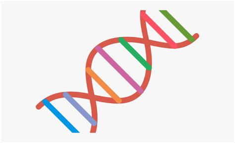 Free Dna Cliparts Download Free Dna Cliparts Png Images Free Cliparts